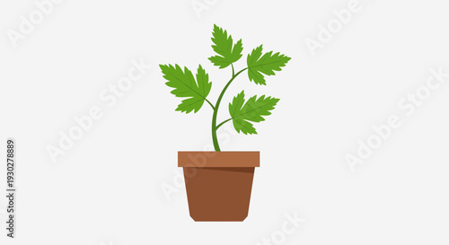 Potted Plant Illustration – Indoor Green Leaf Houseplant Vector Design