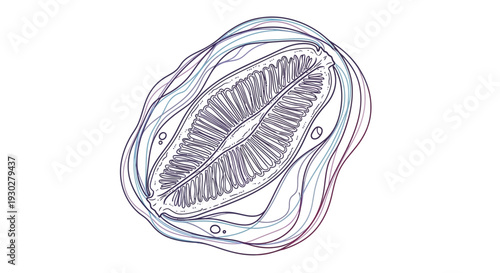Abstract illustration of a stylized cell or organism with internal structures and flowing lines