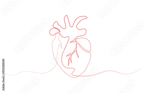 Human heart with blood vessels one line art. Continuous line drawing of human, internal, organs, heart. One line continuous heart. Line art outline organ vector illustration.