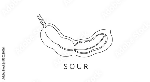 Tamarind Fruit Slice Outline, Sour Taste Concept, Minimalist Food Illustration