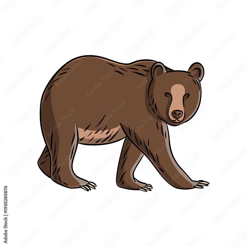 Obraz premium Detailed Illustration of a Wild Bear