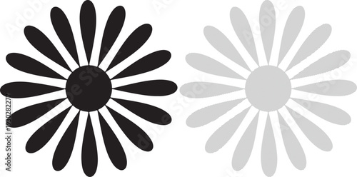 Black and gray abstract daisy flowers with petal design elements on transparent background