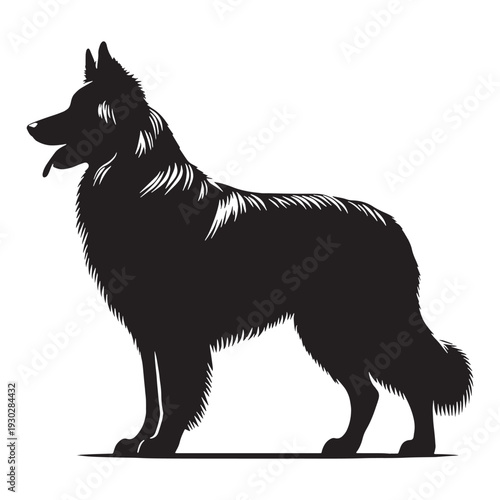 Pri**Majorca Shepherd Dog – Loyal, Intelligent and Powerful Spanish Guardian Breed with Strong Protective Instincts, Agile Working Ability, Confident Temperament, Family Devotion.