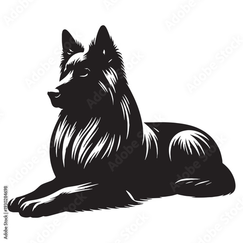 Pri**Majorca Shepherd Dog – Loyal, Intelligent and Powerful Spanish Guardian Breed with Strong Protective Instincts, Agile Working Ability, Confident Temperament, Family Devotion.