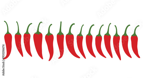 Row of vibrant red chili pepper vector illustrations showing various angles and shapes perfect for culinary design elements