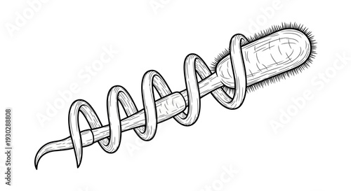 Microscopic View of Spirochete Bacteria with Flagella