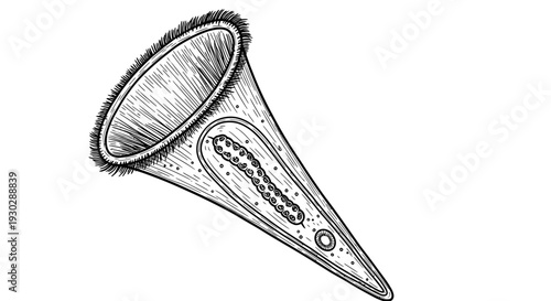 Microscopic Vorticella Protozoa, Single-celled Organism, Scientific Illustration