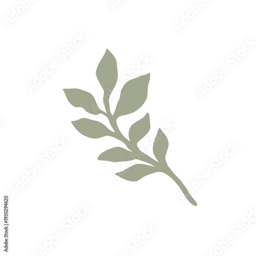 branch with leaves Branch Leaves Vector – Editable Botanical EPS File