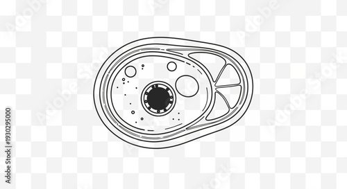 Hand-drawn illustration of a stylized eye with iris and pupil, representing vision and perception.