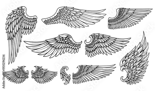 Ornamental fantasy wing designs vector collection on white