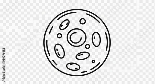 Cell Biology Icon: Simple Outline of a Cell with Nucleus and Organelles
