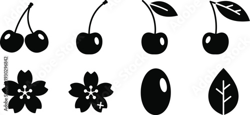 Cherries, a blossom, a seed, and a leaf. Cherries in various forms (paired, single, with leaf), a cherry blossom (flower), a seed, and a separate leaf. 