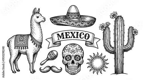 Mexico collection with llama and skull in vintage engraving style