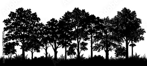 Deciduous forest silhouette in panoramic banner style