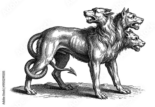 Cerberus three headed dog mythological creature in engraving style