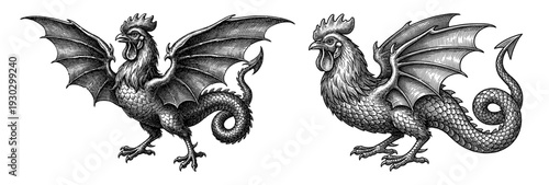 Basilisk and cockatrice in vintage engraving style