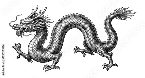 Chinese dragon mythological creature in vintage engraving style