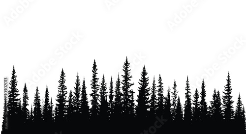 Pine forest silhouette representing nature landscape and wilderness scenery