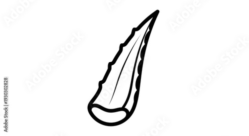 Aloe Vera Leaf Outline Drawing, Simple Botanical Illustration