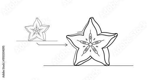 Star Fruit Slice Growing Bigger, Fresh Tropical Fruit, Healthy Food Illustration
