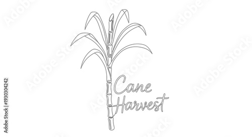 Sugarcane Harvest Logo: Stylized Plant and Text for Agriculture and Food Industry