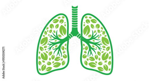 Vector illustration of an anatomical illustration of human kidneys with blood vessels and ureters