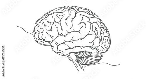 Human Brain with Extending Lines Line Art - Cognitive Processes and Mental Health