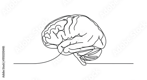 Connected Human Brain Side View Line Art - Neural Networks and Thought Processes