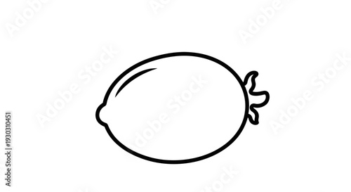 Simple Line Art of a Lemon Fruit, Isolated on White Background