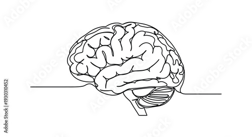 Human Brain Profile with Base Line Art - Scientific Study and Neurological Insights