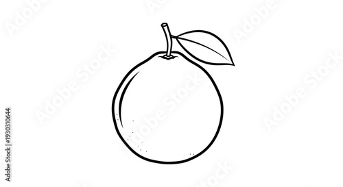 Simple Outline Drawing of a Fresh Orange with a Leaf and Stem on White Background
