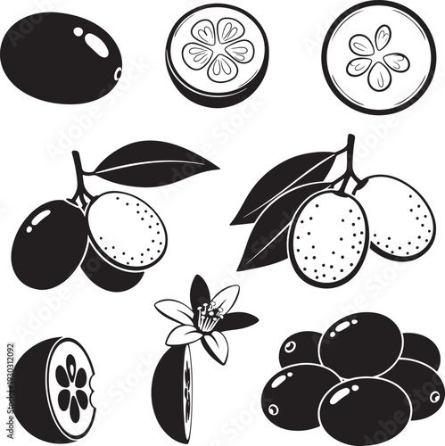 Black and White Mango Illustrations with Leaves and Flowers