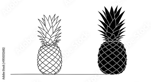 Pineapple Outline and Silhouette Comparison