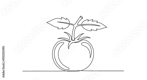 Continuous line drawing of a ripe red tomato with stem and green leaves