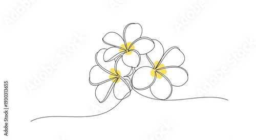 Cluster of Plumeria Flowers with Yellow Centers in Line Art