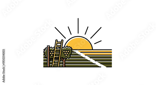 Sunrise over vineyard with ladder and grapevines, agricultural harvest concept
