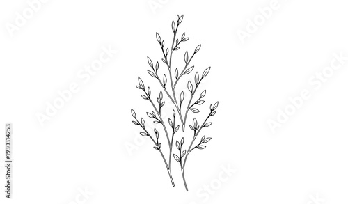 Minimal black twig line art vector botanical branch illustration
