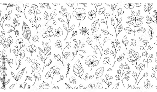 Hand drawn floral seamless pattern black botanical vector design