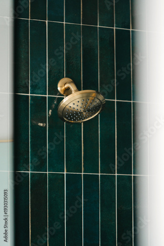 Fotografi Modern shower with brushed gold showerhead and dark green vertical tile, stylish