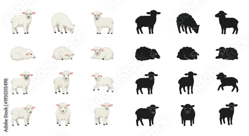 A collection of white and black sheep and lambs in various poses, showcasing different breeds and ages of ovine animals.