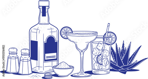 Vodka bottle and glass with aloe plant