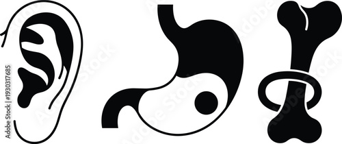 Human sensory organ icons set featuring ear, stomach, and bone, medical anatomy flat silhouette vector illustration collection