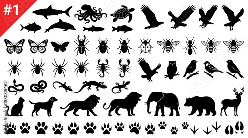 Animal Silhouette and Footprint Icon Set #1 – Diverse Wildlife Icons Featuring Mammals, Birds, Insects, Reptiles, and Tracks for Nature Graphics and Educational Projects