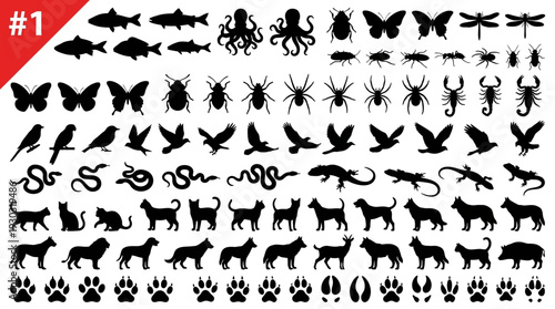 Animal Silhouette and Footprint Icon Set #1 – Diverse Wildlife Icons Featuring Mammals, Birds, Insects, Reptiles, and Tracks for Nature Graphics and Educational Projects