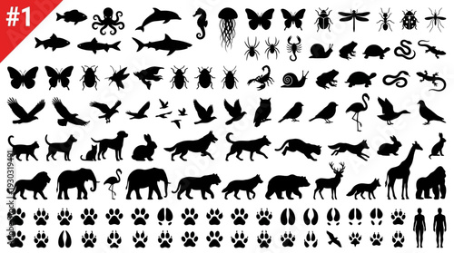 Animal Silhouette and Footprint Icon Set #1 – Diverse Wildlife Icons Featuring Mammals, Birds, Insects, Reptiles, and Tracks for Nature Graphics and Educational Projects