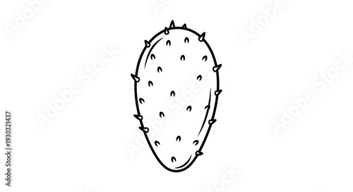 Prickly Pear Cactus Pad Outline, Simple Vector Illustration