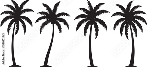 Palm Tree Silhouettes palm trees tropical
