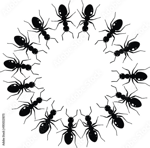 Circular ant silhouette pattern, black insect vector design, symmetrical arrangement, nature concept, bug icon, entomology illustration