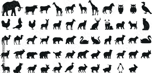 Wild and domestic animal silhouettes collection, black vector icons set with mammals birds wildlife farm zoo species illustration