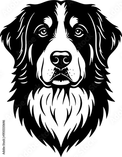 Bernese Mountain Dog Head Vector Illustration Portrait